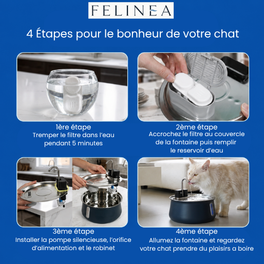 Fontaine à Eau pour Chat en Inox avec Filtration Ultra Silencieuse – Distributeur d’Eau Automatique pour Chats