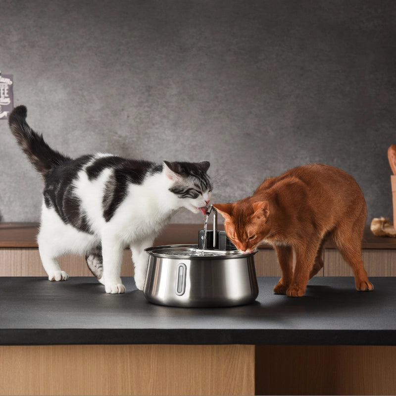 Fontaine à Eau pour Chat en Inox avec Filtration Ultra Silencieuse – Distributeur d’Eau Automatique pour Chats